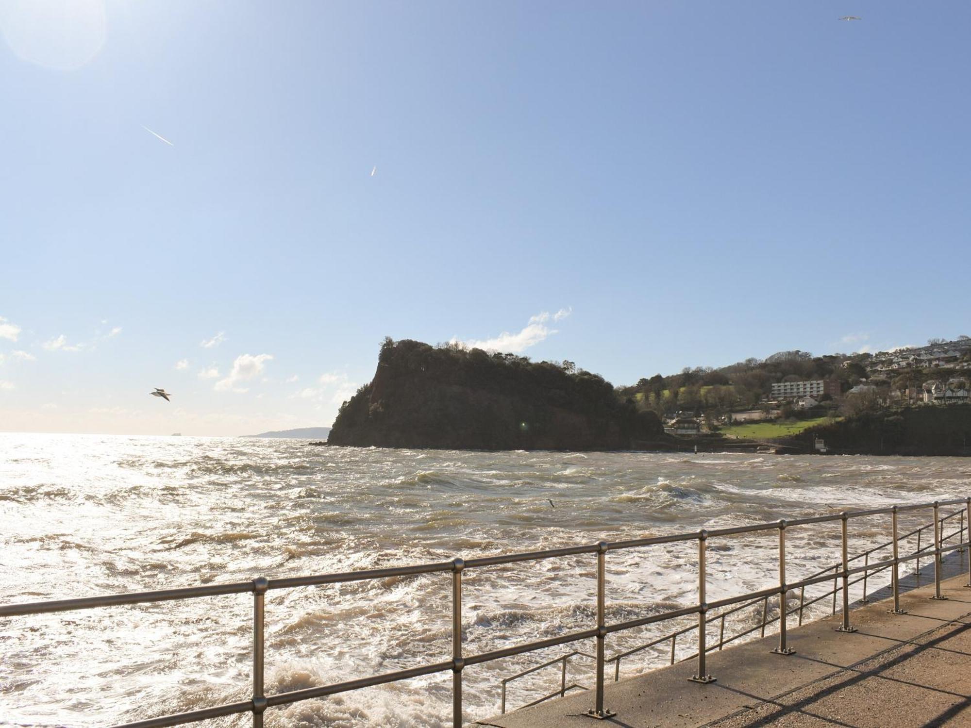 Primrose Cottage Teignmouth Extérieur photo